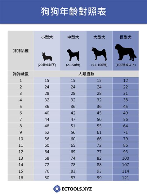 屬狗歲數|屬狗今年幾歲？2024屬狗生肖年齡對照表！屬狗性格特質